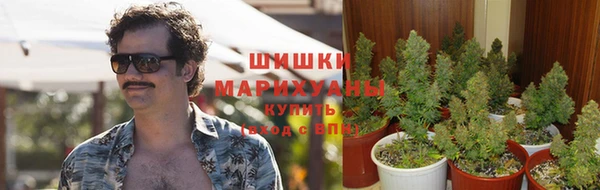 амф Армянск