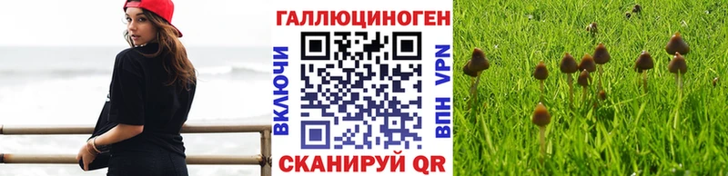 Псилоцибиновые грибы Psilocybe  Саров 